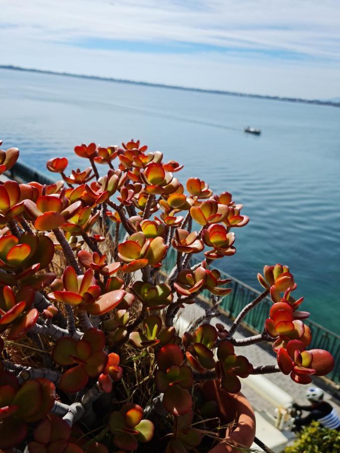 La Finestra Sul Mare Di Alfeo Lejlighed Syracuse Eksteriør billede